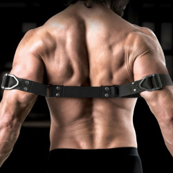 Sir Richards - Commandement Biceps Bender